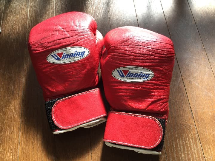 ボクシング グローブ/日本製 /ウィニング 8oz /プロフェッショナルタイプ