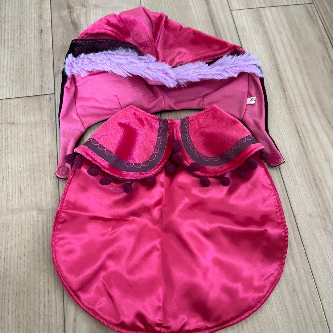 アナ雪 衣装のみ