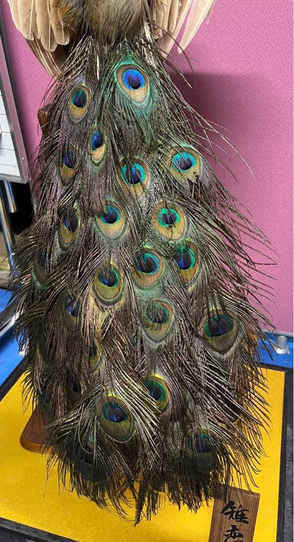 孔雀置物