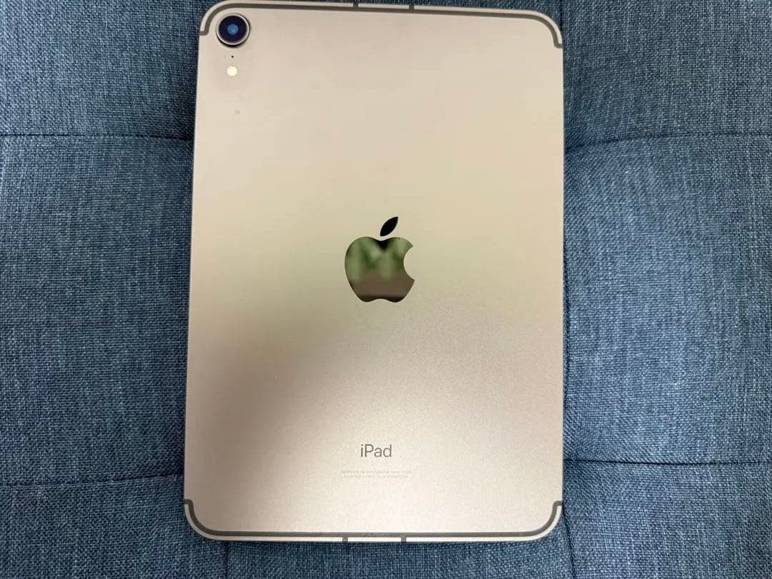 iPad mini (第6世代) 256GB Wi-Fi + Cellular