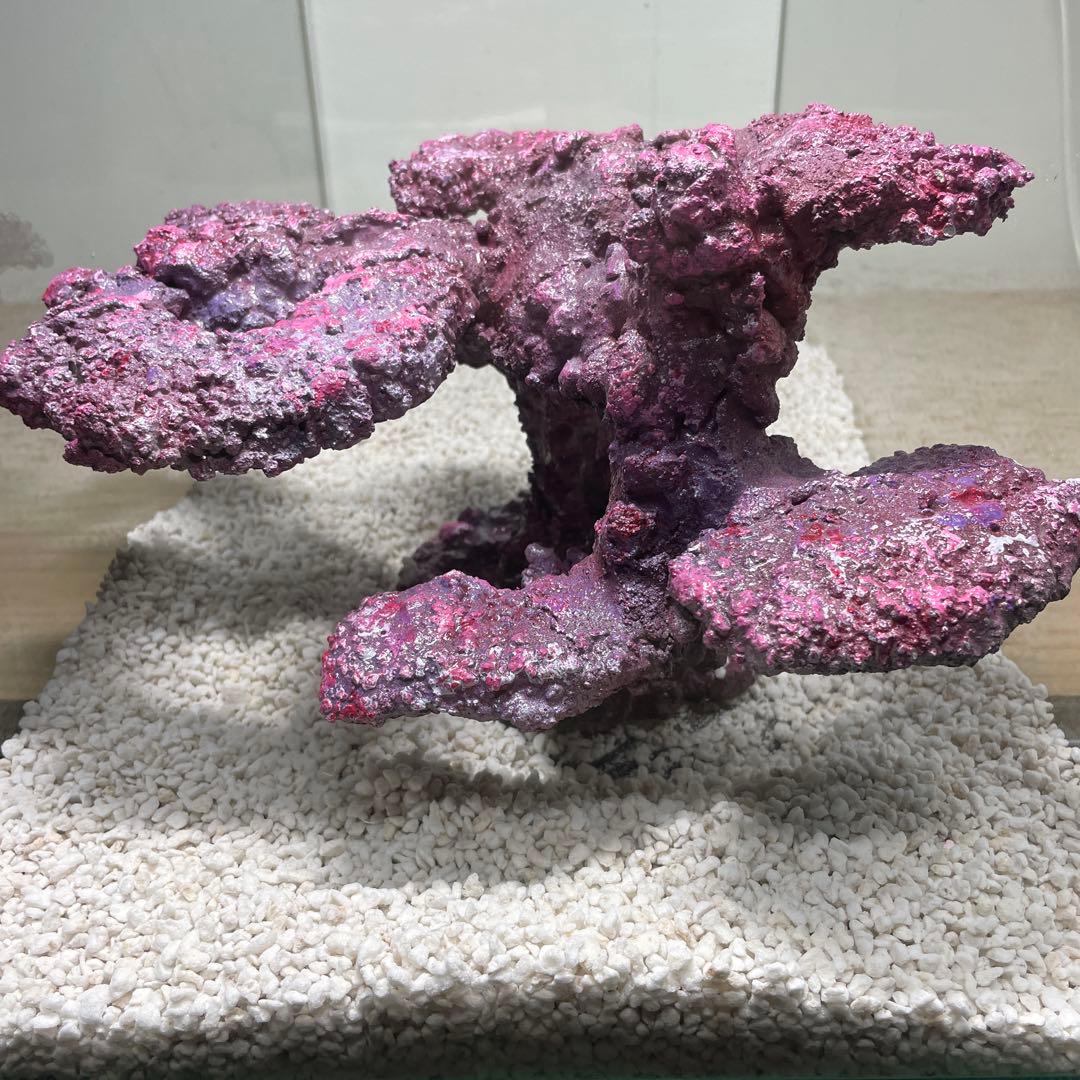 人工ライブロック　SHR23 アク抜き済み安心塗料使用