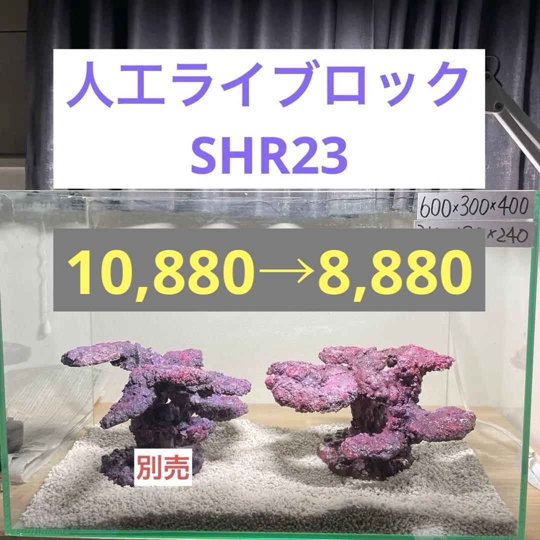 人工ライブロック　SHR23 アク抜き済み安心塗料使用
