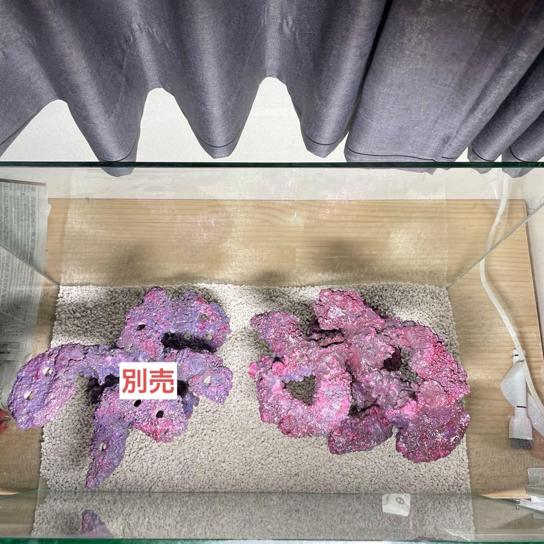 人工ライブロック　SHR23 アク抜き済み安心塗料使用