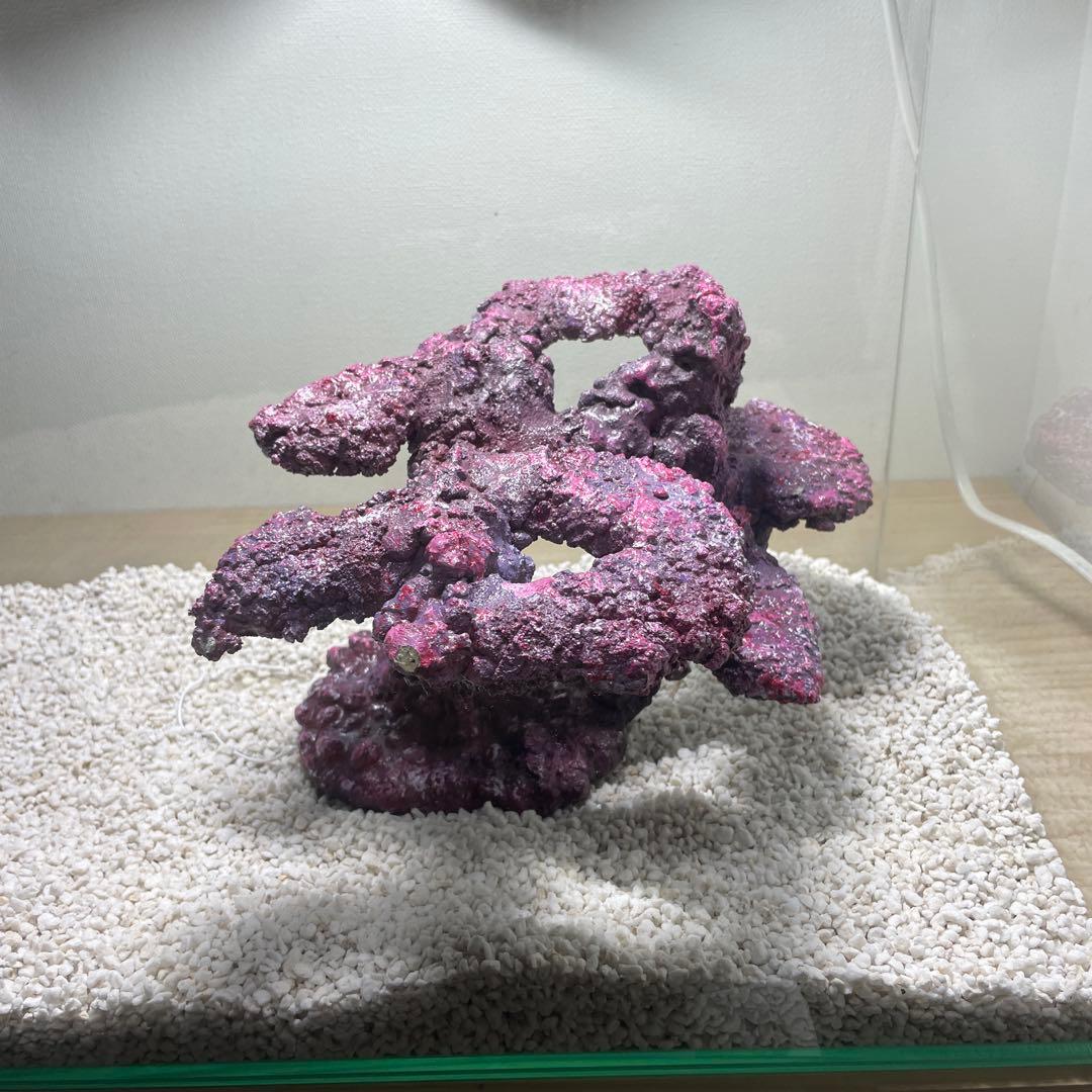 人工ライブロック　SHR23 アク抜き済み安心塗料使用