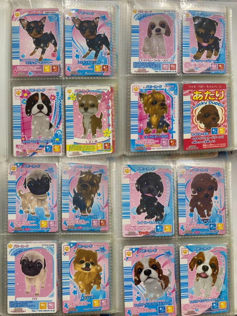 ワンタメ カード ファイル付き 182枚