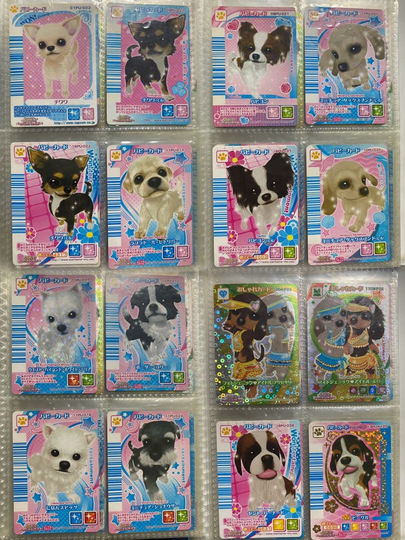 ワンタメ カード ファイル付き 182枚