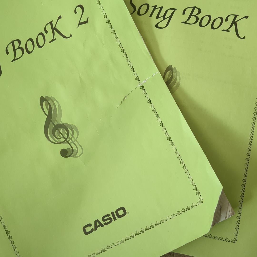 CASIO LK-315 ホワイトキーボード