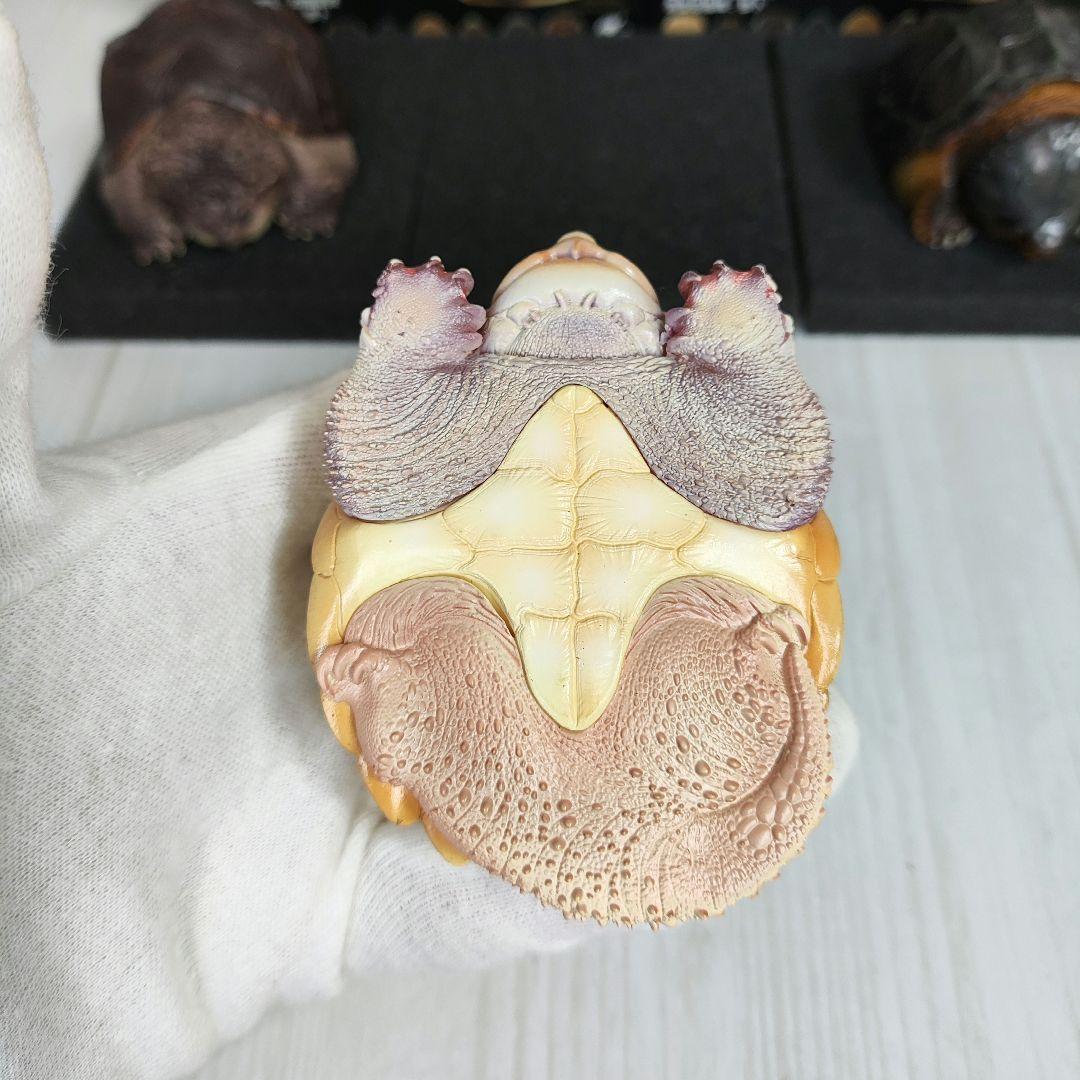 【動物の惑星】★激レア★第1弾亀廃盤品ワニガメ+カミツキガメ!! フィギュア