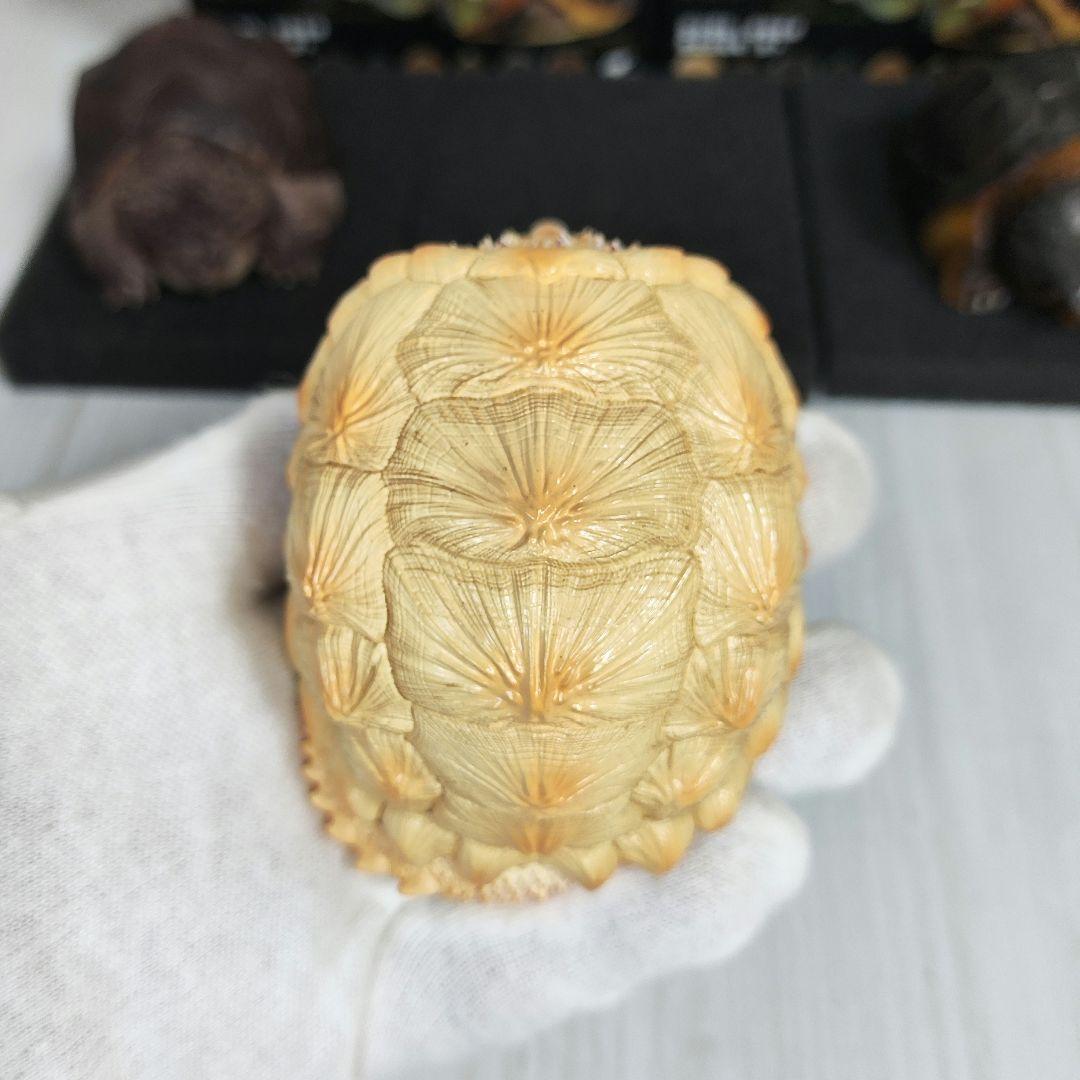 【動物の惑星】★激レア★第1弾亀廃盤品ワニガメ+カミツキガメ!! フィギュア