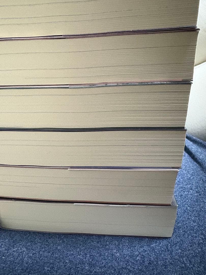 二哈和他的白猫師尊　1〜6巻