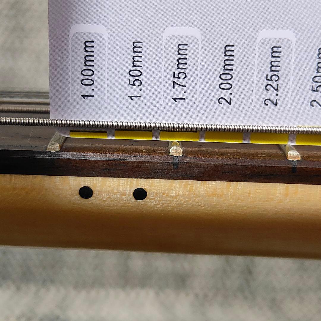 PhotoGenic MUSTANG MG-200 ムスタング けいおん 中野梓