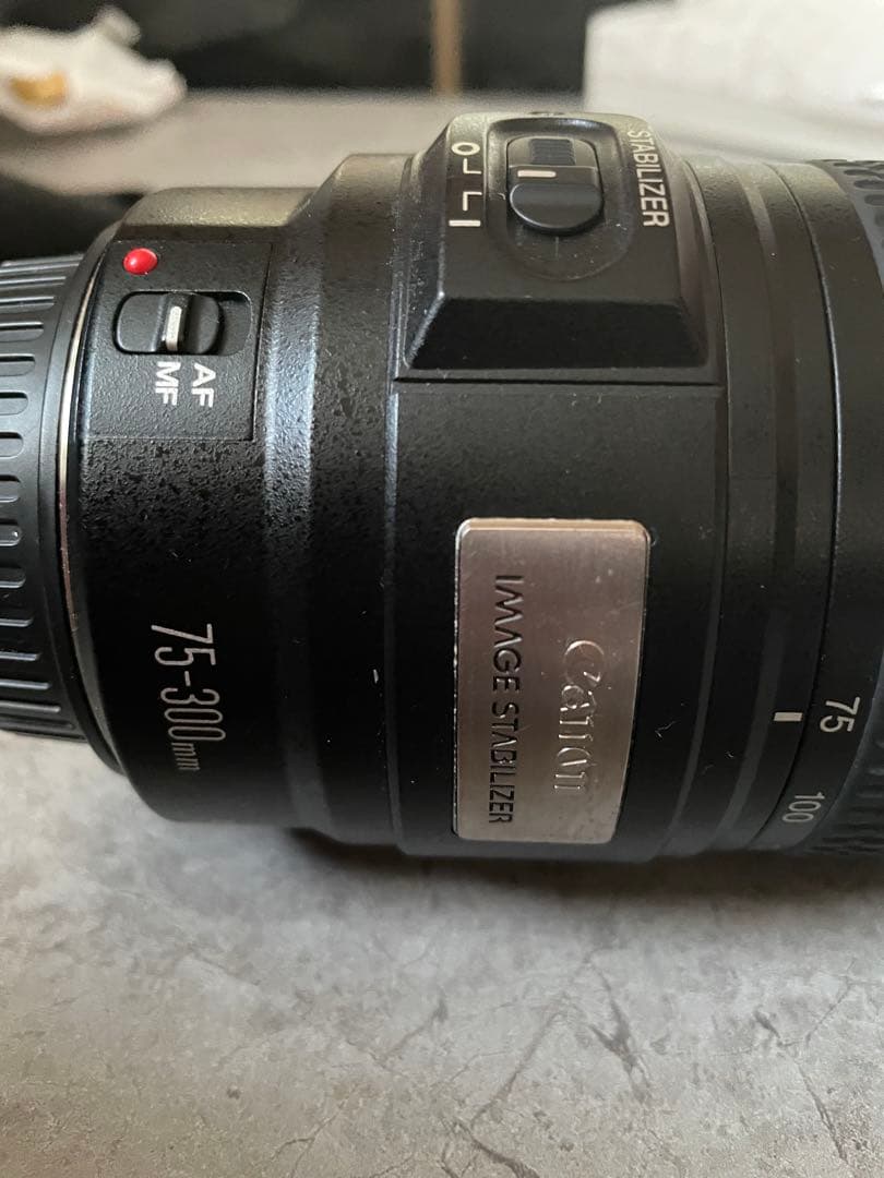 CANON EF 75-300mm ズームレンズ