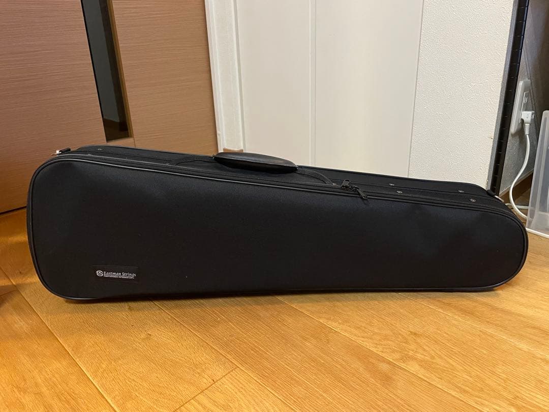 Eastman SVL80セット 4/4 バイオリン
