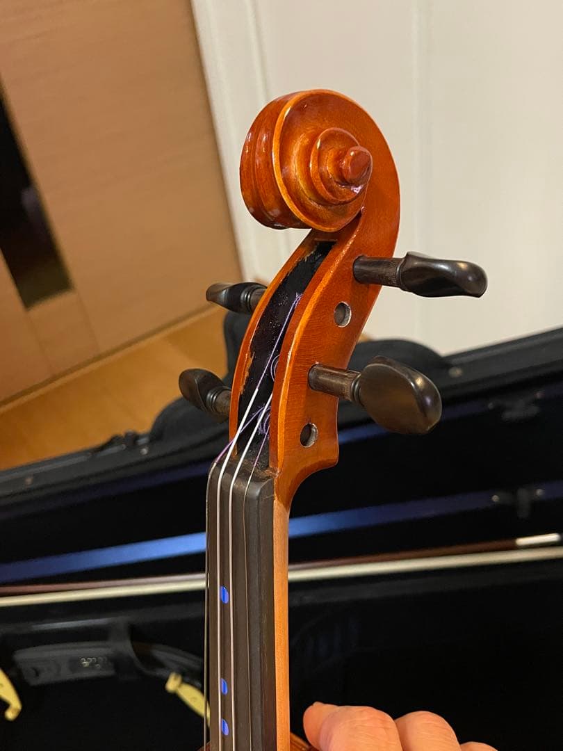 Eastman SVL80セット 4/4 バイオリン