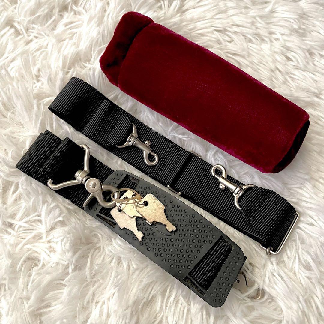 アルトサックス用 ハードケース C.C.シャイニーケース