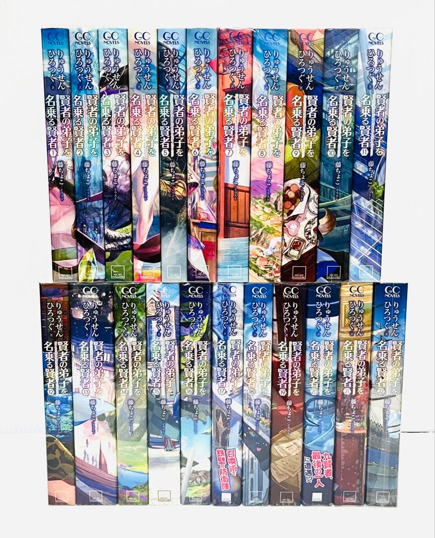 賢者の弟子を名乗る賢者 全22巻 全巻 既刊 セット