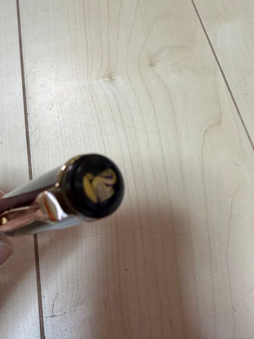 ドイツ　万年筆