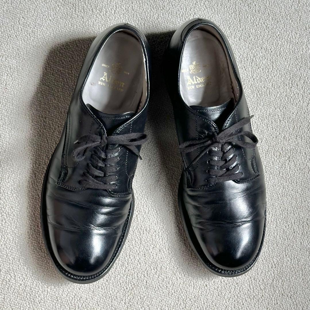 ALDEN オールデン53719 8.5D キッド