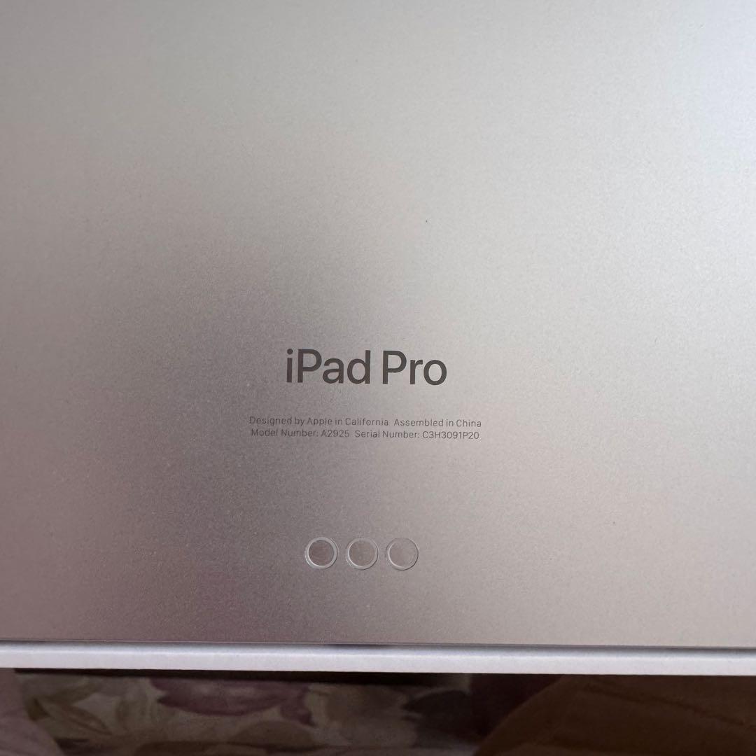 iPad本体 ipad pro m4 13inch 256G Apple pencil pro