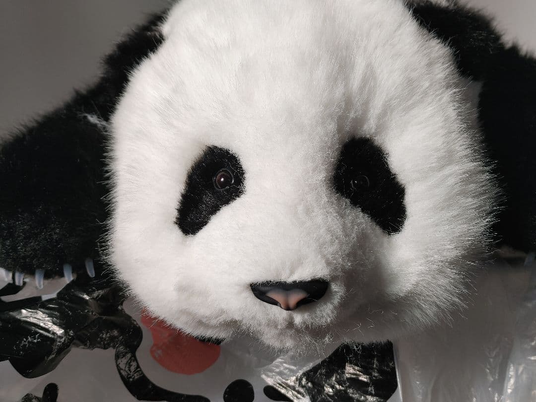 パンダ和花/花花/ホーファ、ファーファー/リアルぬいぐるみ/大熊猫