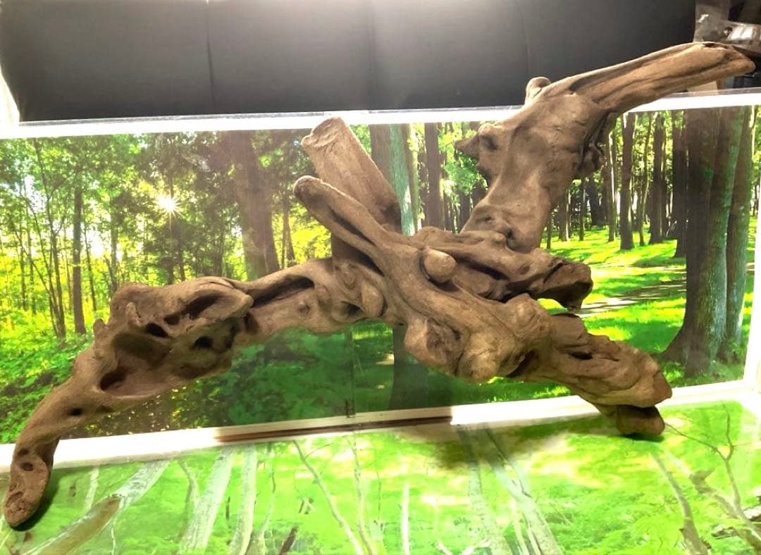 ティンバー様 リクエスト 2点 まとめ商品