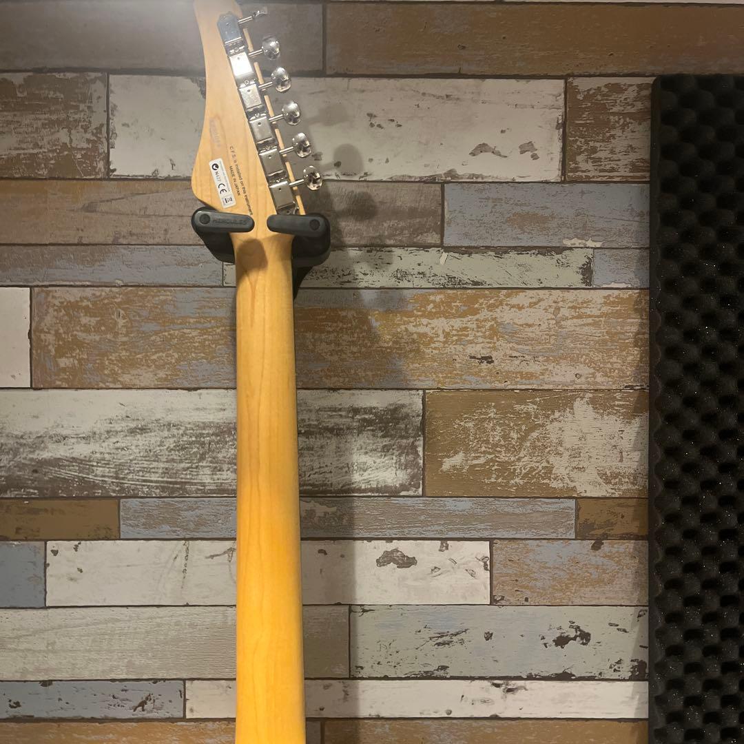 FUJIGEN テレキャスター 2ハム