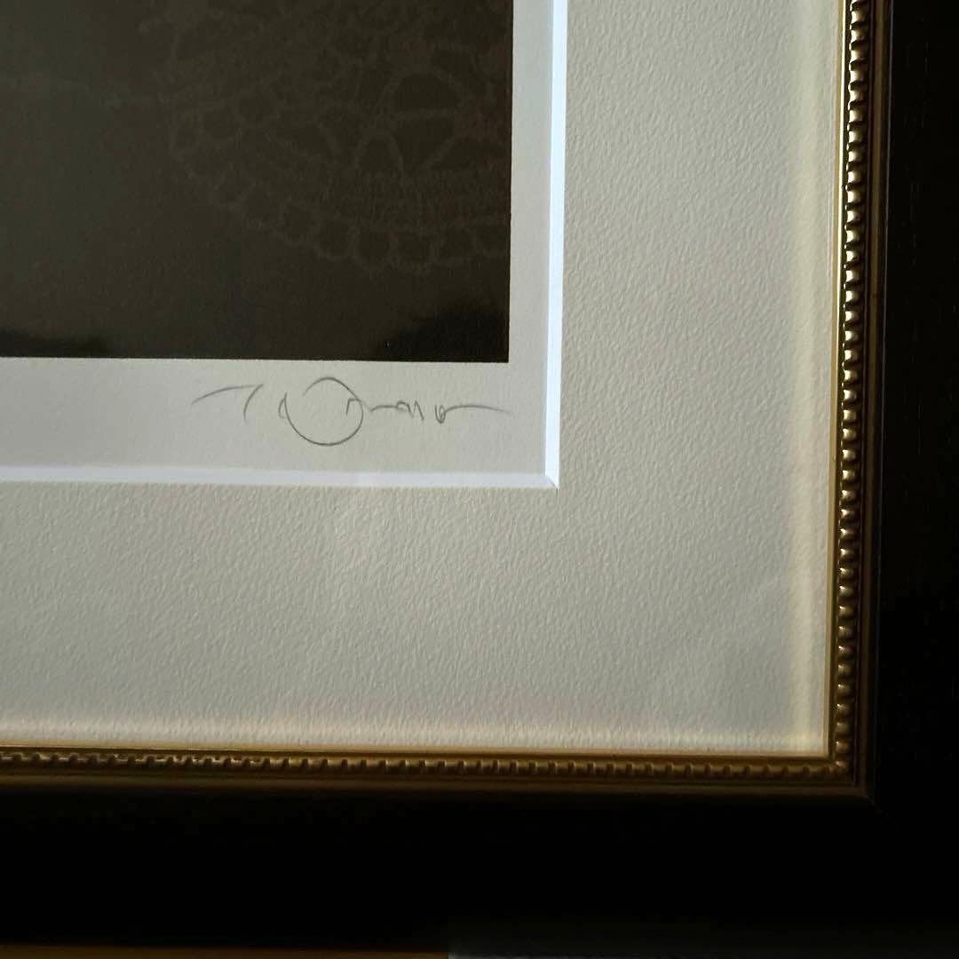 アールビバン 天野喜孝 『LACE』 リトグラフ 菊地秀行 吸血鬼ハンター”D”