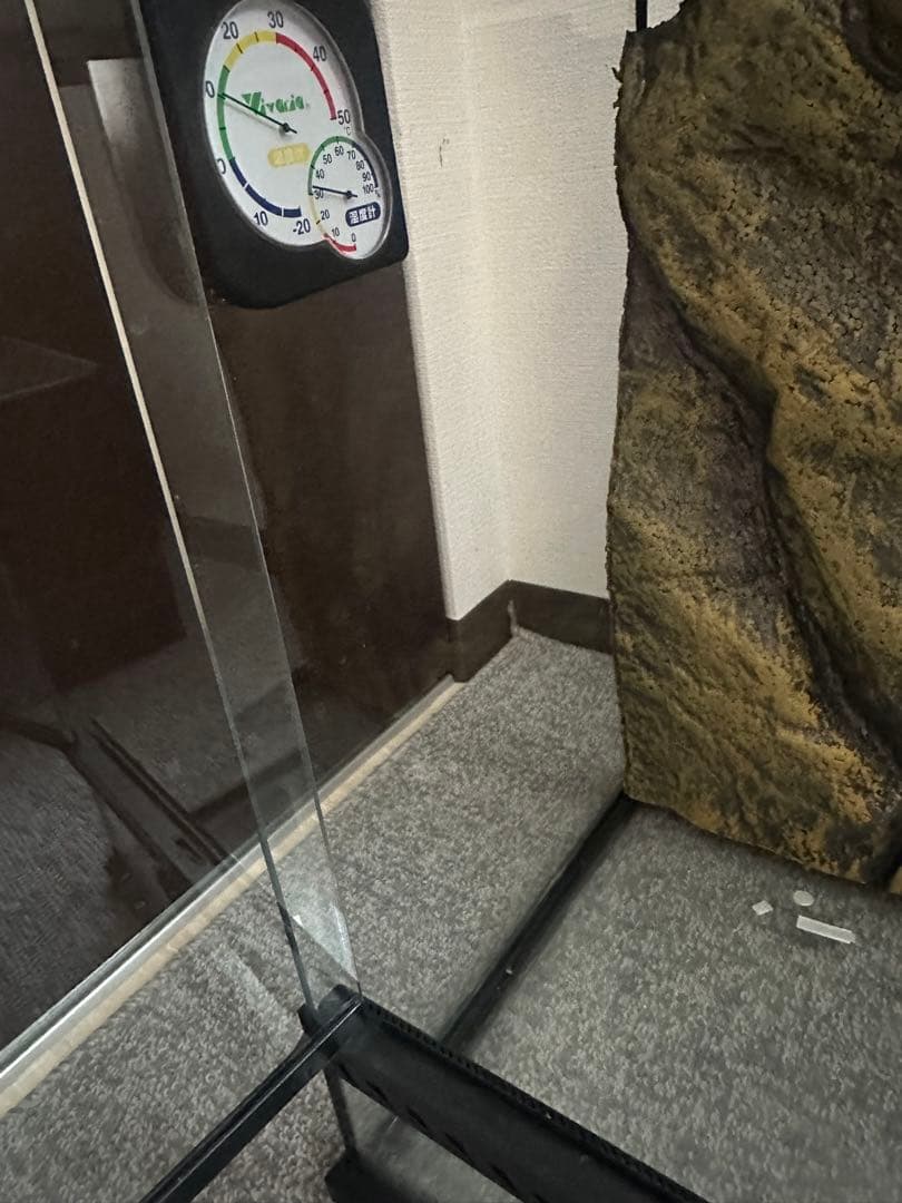 グラステラリウム　3045 直接可