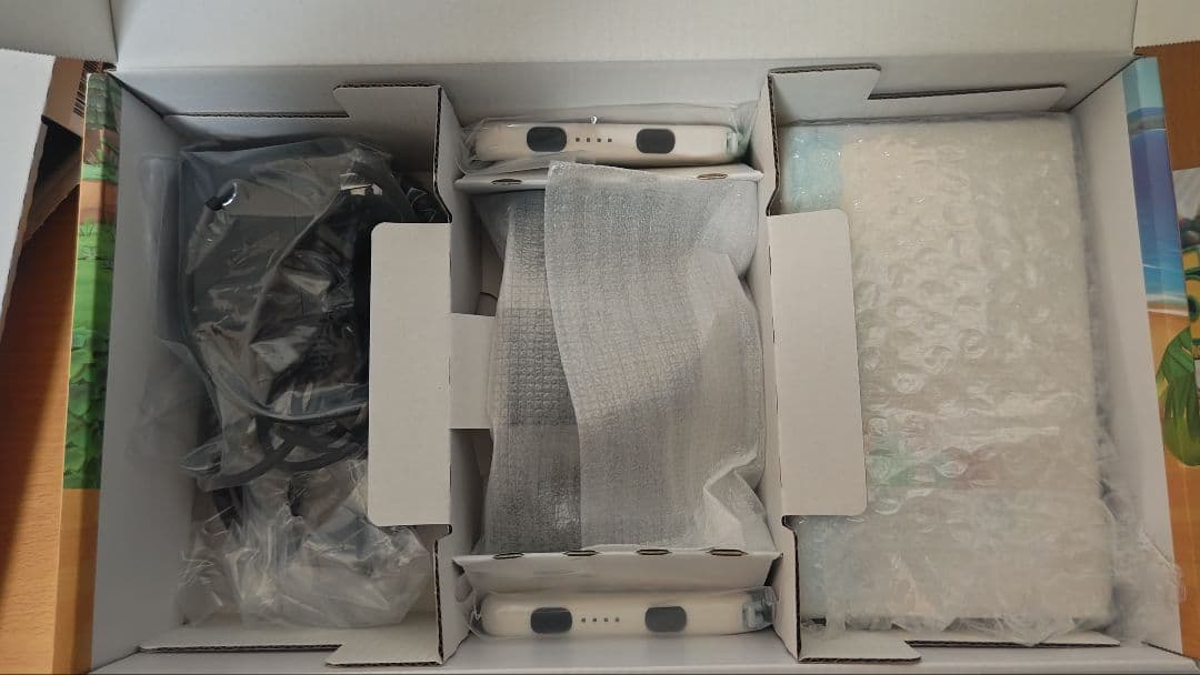 Nintendo Switch どうぶつの森デザイン　おまけつき