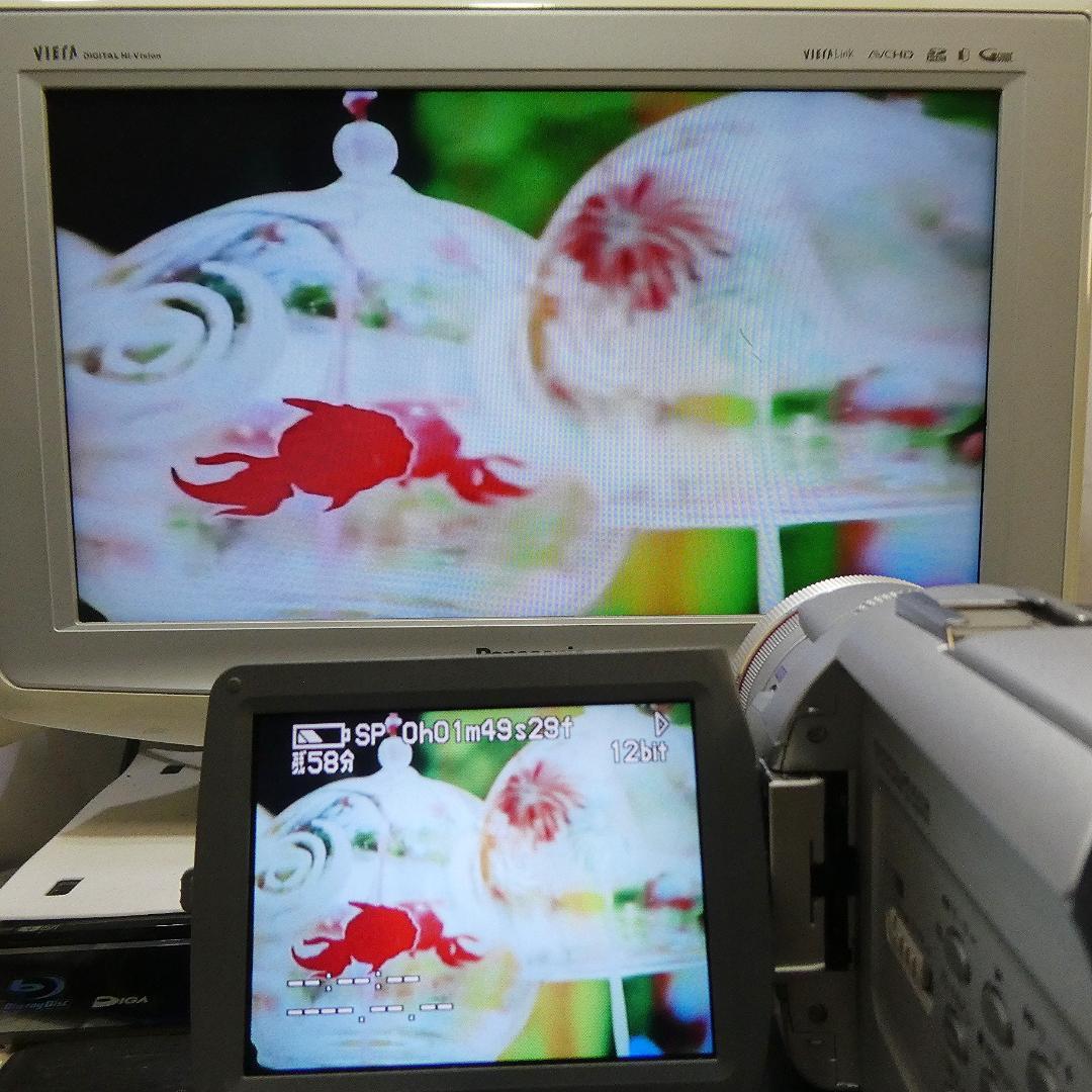 動作良好 パナソニックNV-MX5000 MiniDVビデオ DVD化に最適 !