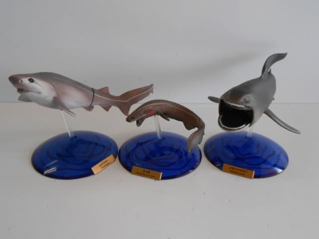 ♯Jxi01LT深海の巨大生物NHKスペシャル謎の海底サメ王国人気3種