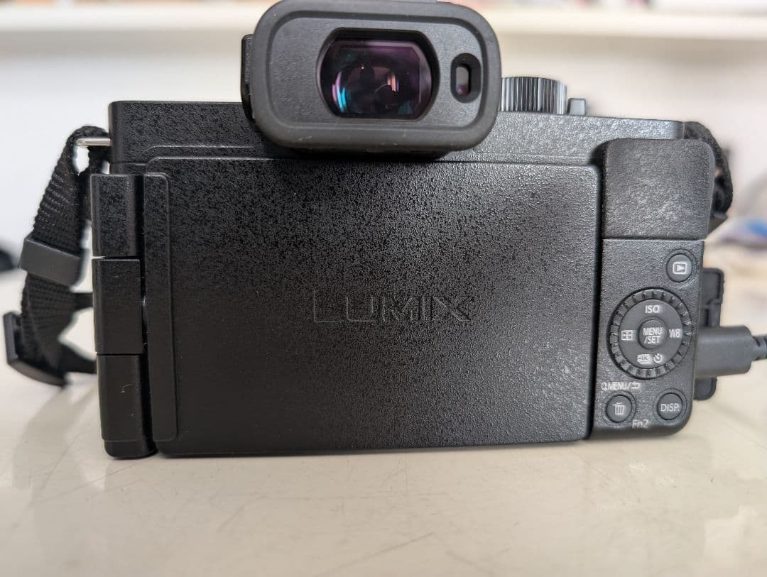 Panasonic LUMIX デジタルカメラDC-G100D ダブルフレーム