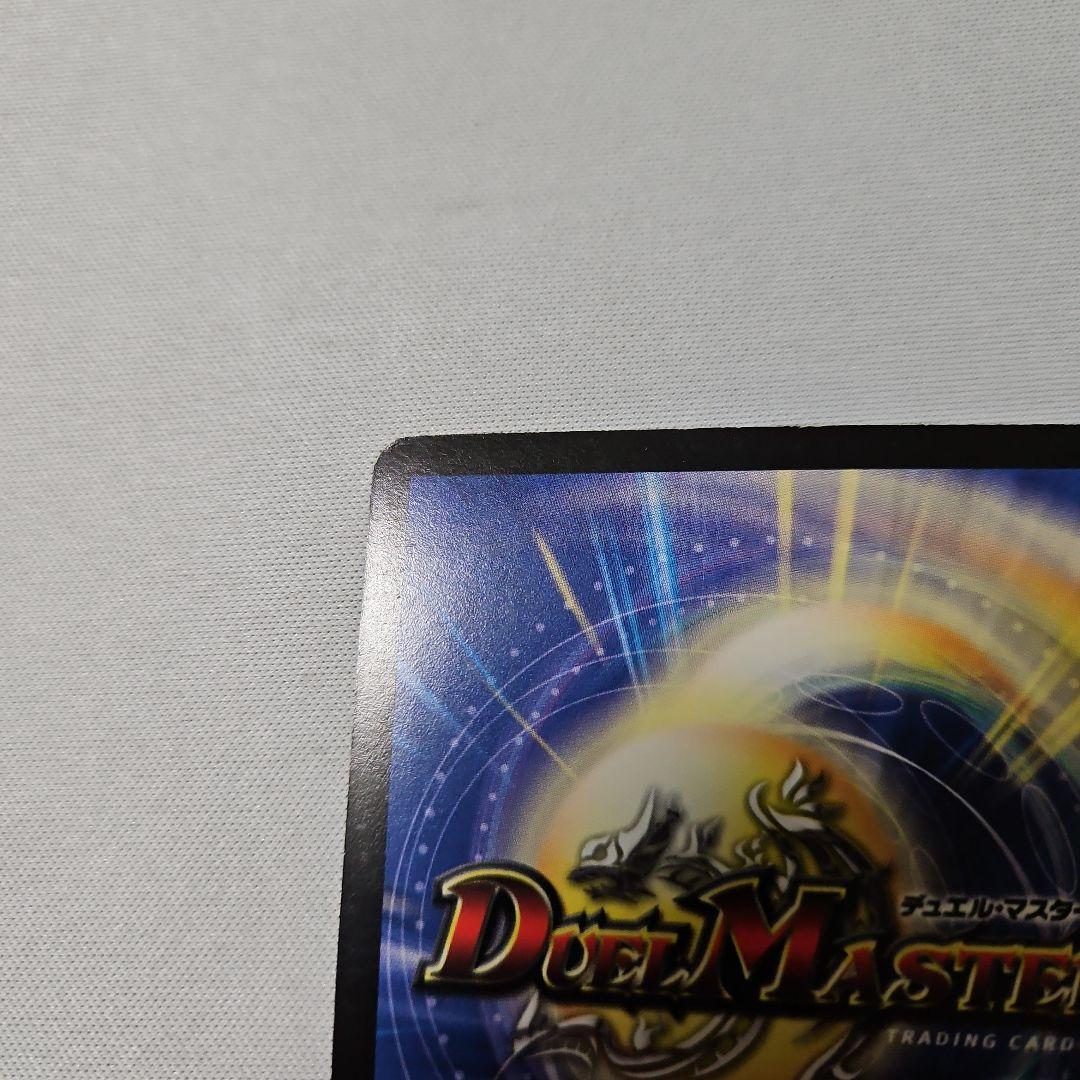 ま*認様 聖鎧亜キング・アルカディアス シークレット