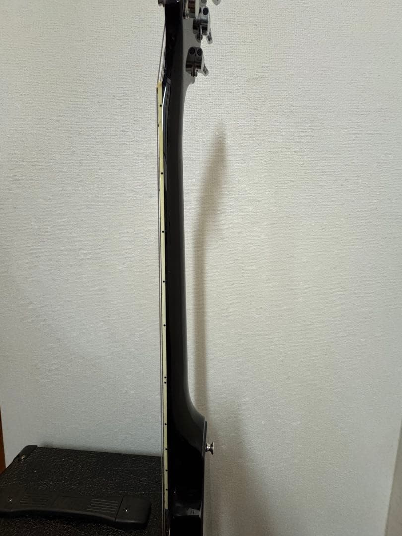 EDWORDS E-FV-125BK DOT レフティ用