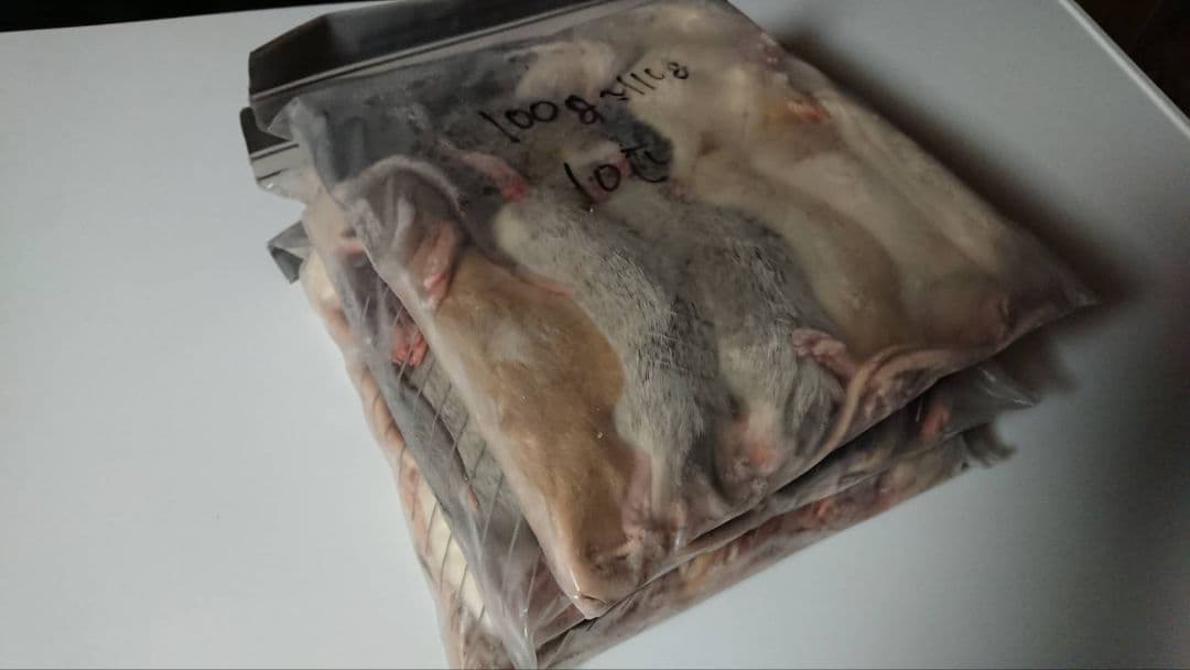 ぐりやんさん専用