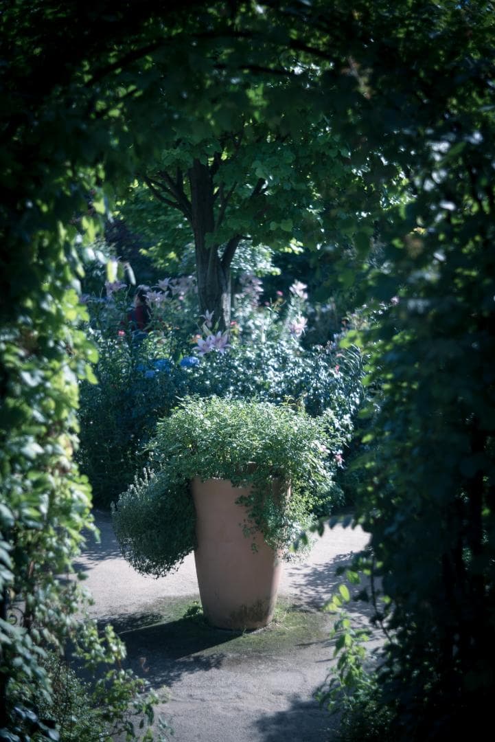 色違いの環がかかる！Leica coated Summar オールドレンズ