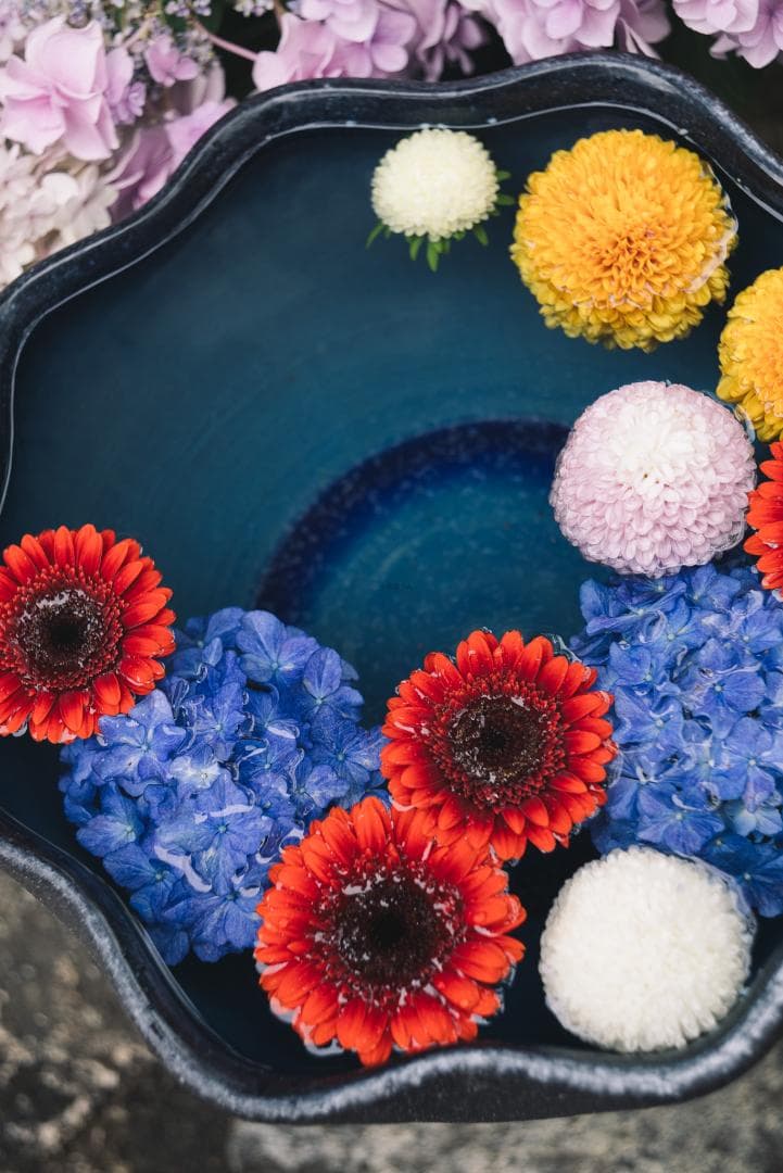 色違いの環がかかる！Leica coated Summar オールドレンズ