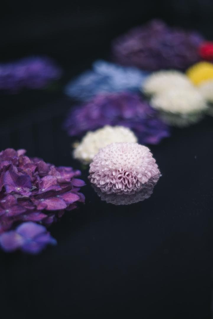 色違いの環がかかる！Leica coated Summar オールドレンズ