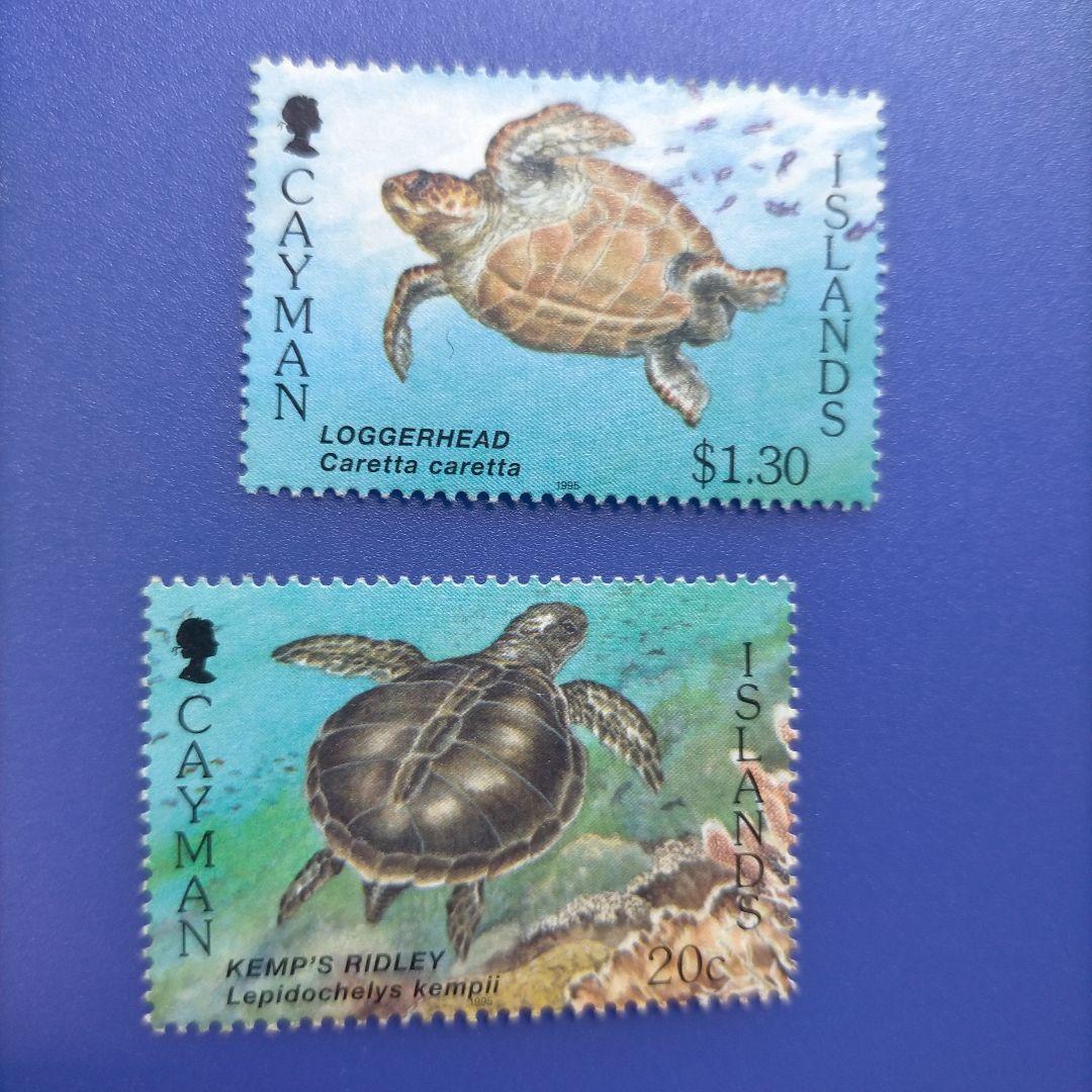3861 外国切手 ケイマン諸島 1995年 ウミガメ 6種完