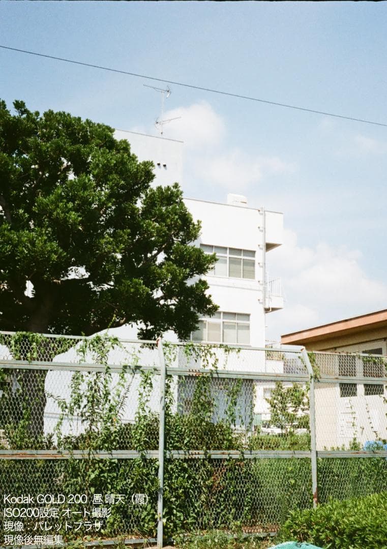 OLYMPUS PEN EE-3【整備済完動品】