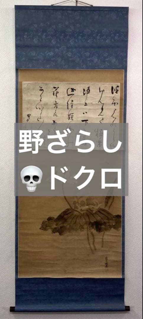 【ドクロ図】渡辺始興／【書】蜀山人 (貼り合わせ)／紙本　掛軸【髑髏／骸骨】