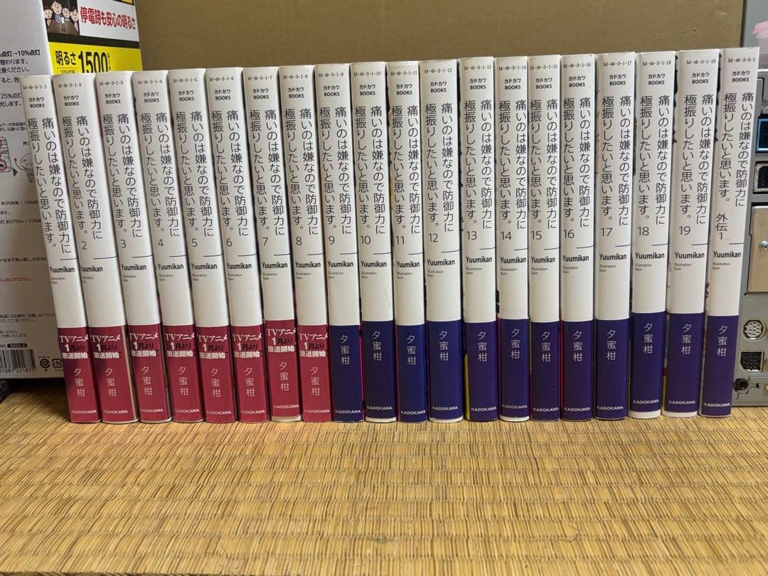 痛いのは嫌なので防御力に極振りしたいと思います 小説 全19巻 + 外伝1