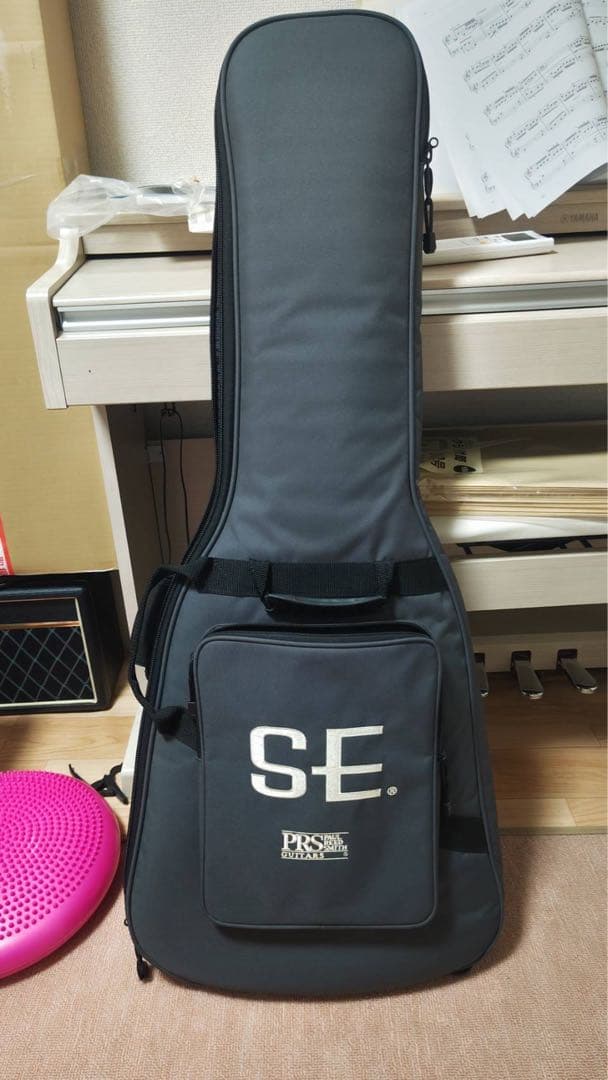 Paul Reed Smith(PRS) SE Singlecut 美品