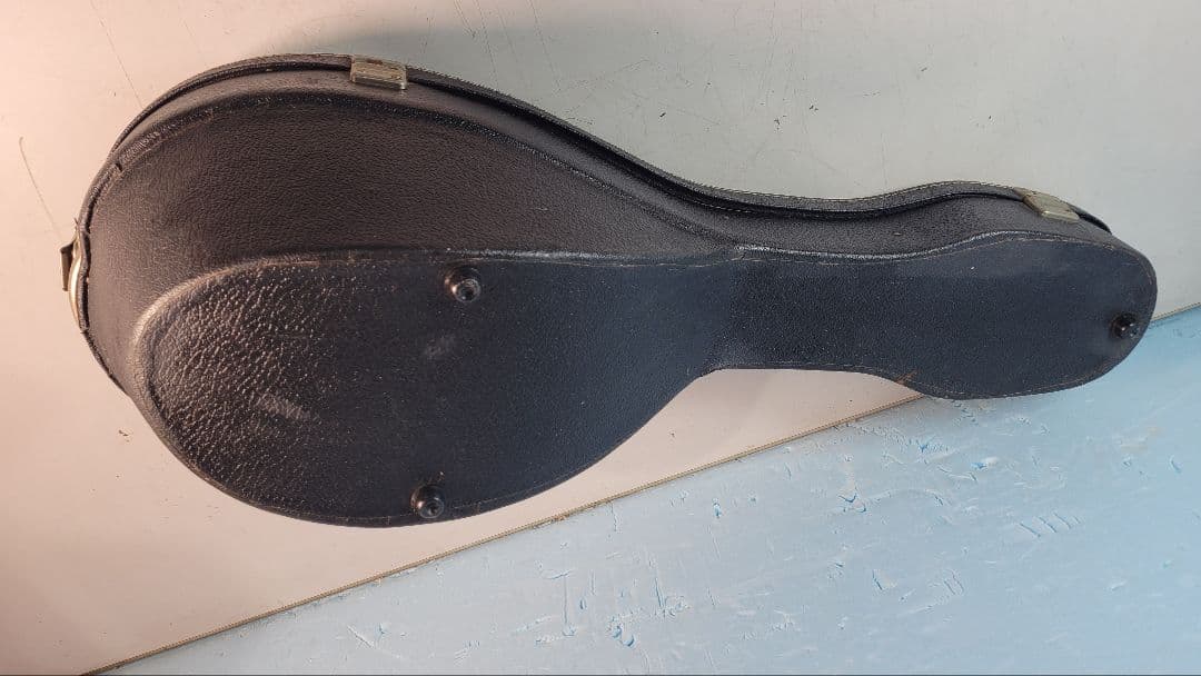 木製アーチトップ手工品マンドリン 8弦 ケース付き