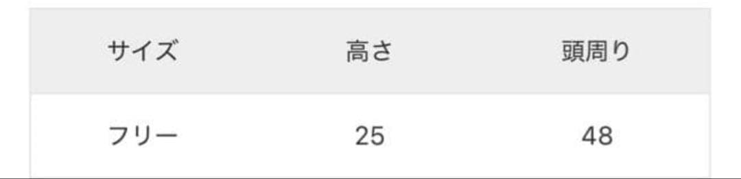 【未使用・タグ付】〈LANEUS〉BEANIE/ブラック