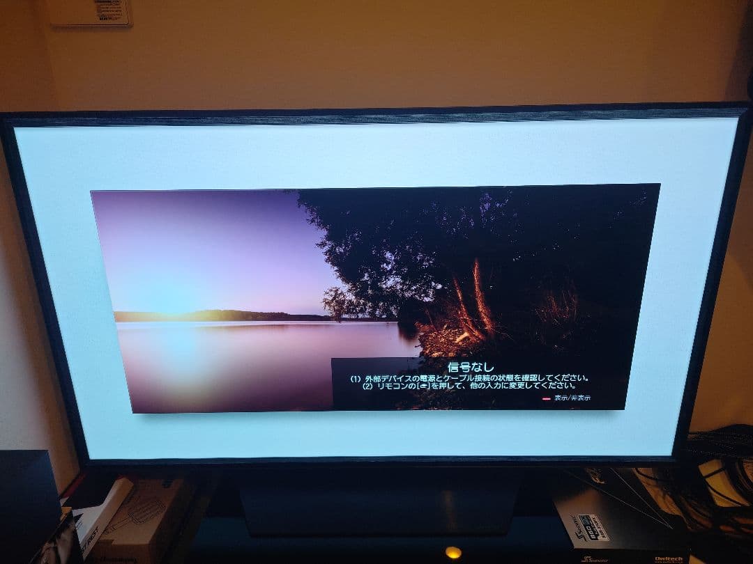 LG 48型 OLED 有機EL テレビ　48CXPJA 　4K/120hz対応