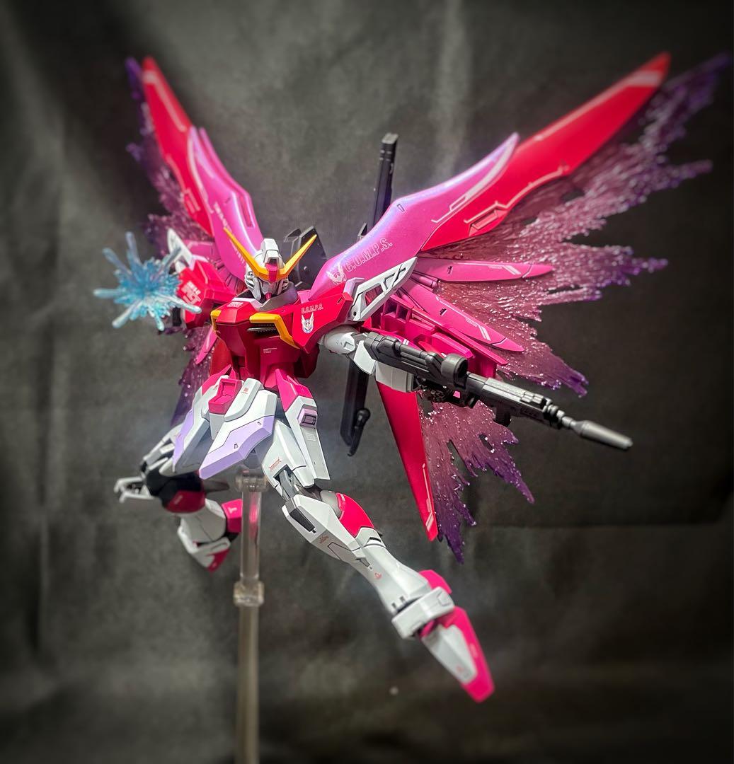 N*T様 ガンプラ完成品HG デスティニーガンダムspecⅡ & ゼウスシルエッ