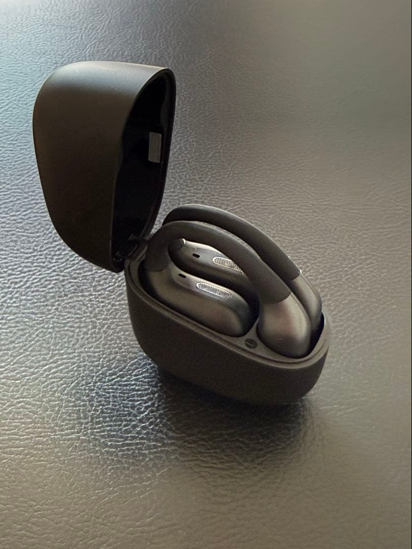 Panasonic RB-F10 ワイヤレスイヤホン