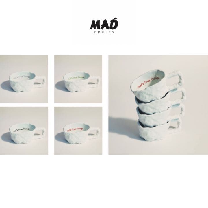 とんだ林蘭　MAD FRUITS　マグカップ　新品　有田焼　マッドフルーツ　赤