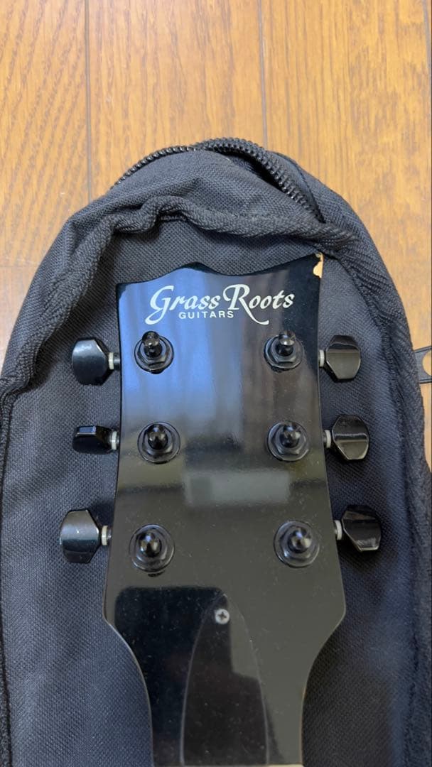 Grassroots ESP グラスルーツ　EC レスポール　ブラック